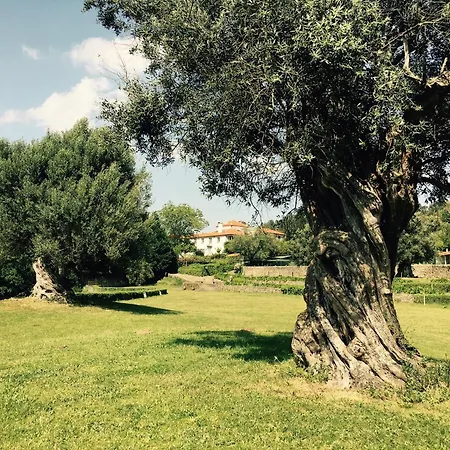Pensjonat Tower Junior Queen At Casa Dos Macieis, Camino Santiago Direct Access & Optional Agritourism