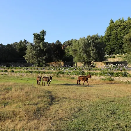 Tower Junior Queen At Casa Dos Macieis, Camino Santiago Direct Access & Optional Agritourism Facha