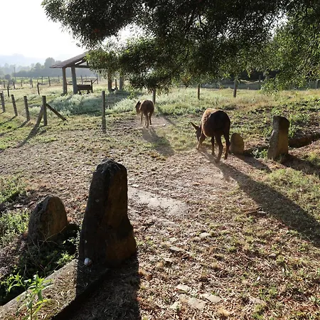 Tower Junior Queen At Casa Dos Macieis, Camino Santiago Direct Access & Optional Agritourism Gasthof