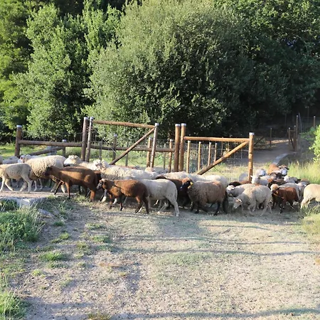 Penzion Tower Junior Queen At Casa Dos Macieis, Camino Santiago Direct Access & Optional Agritourism Facha
