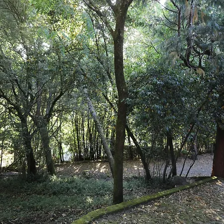 Tower Junior Queen At Casa Dos Macieis, Camino Santiago Direct Access & Optional Agritourism 4* Facha