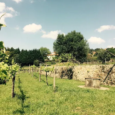 Tower Junior Queen At Casa Dos Macieis, Camino Santiago Direct Access & Optional Agritourism Penzion Facha