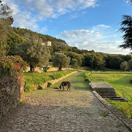 Tower Junior Queen At Casa Dos Macieis, Camino Santiago Direct Access & Optional Agritourism Pensjonat 4*