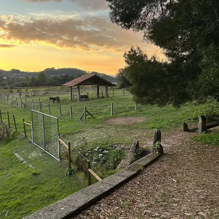 Penzion Tower Junior Queen At Casa Dos Macieis, Camino Santiago Direct Access & Optional Agritourism 4*