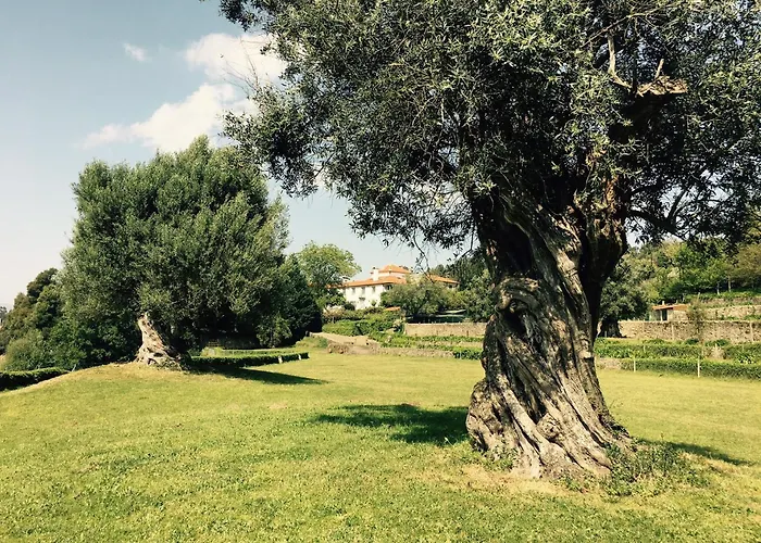 Penzion Tower Junior Queen At Casa Dos Macieis, Camino Santiago Direct Access & Optional Agritourism
