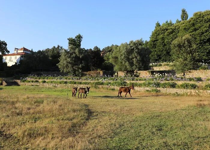 Tower Junior Queen At Casa Dos Macieis, Camino Santiago Direct Access & Optional Agritourism Facha