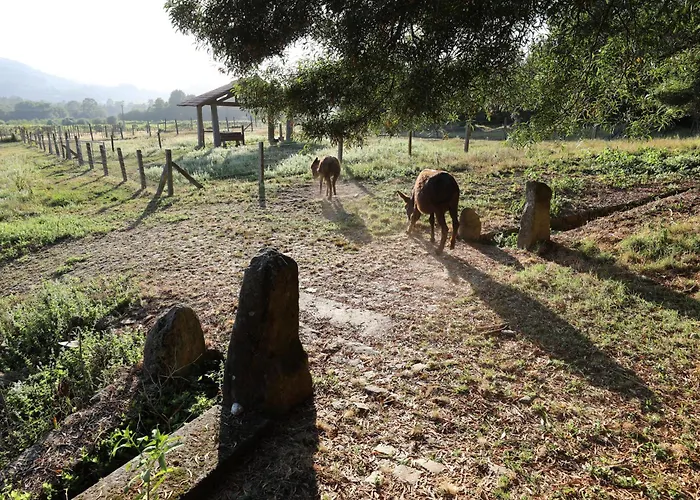 Tower Junior Queen At Casa Dos Macieis, Camino Santiago Direct Access & Optional Agritourism Penzion