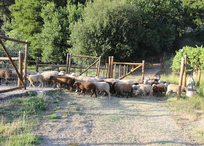 Maison d'hôtes Tower Junior Queen At Casa Dos Macieis, Camino Santiago Direct Access & Optional Agritourism Facha