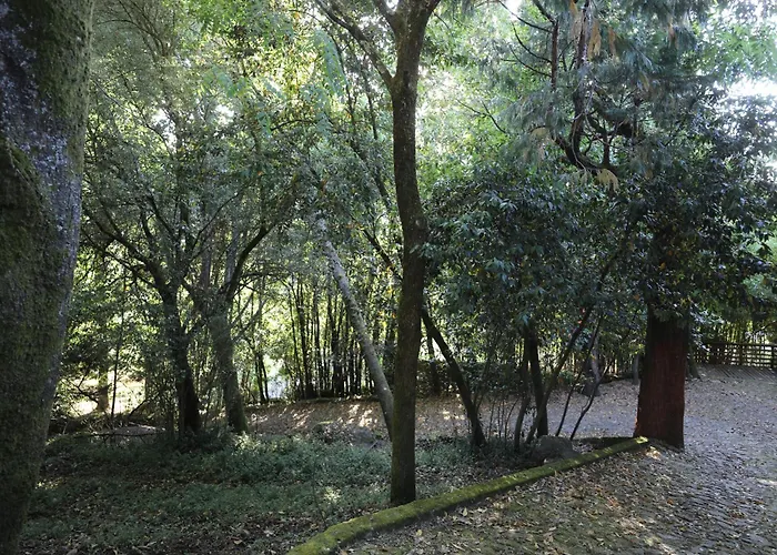 Tower Junior Queen At Casa Dos Macieis, Camino Santiago Direct Access & Optional Agritourism 4* Facha