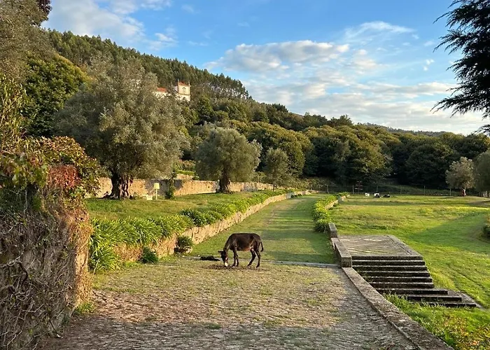 Tower Junior Queen At Casa Dos Macieis, Camino Santiago Direct Access & Optional Agritourism Penzion 4*